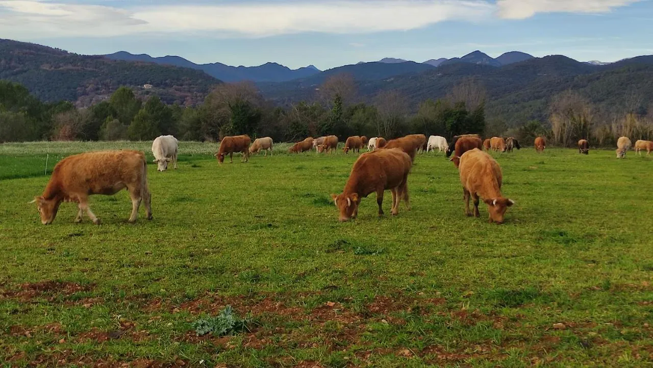 Country house Mas Ca La Coixa Guest House Tortella Spain