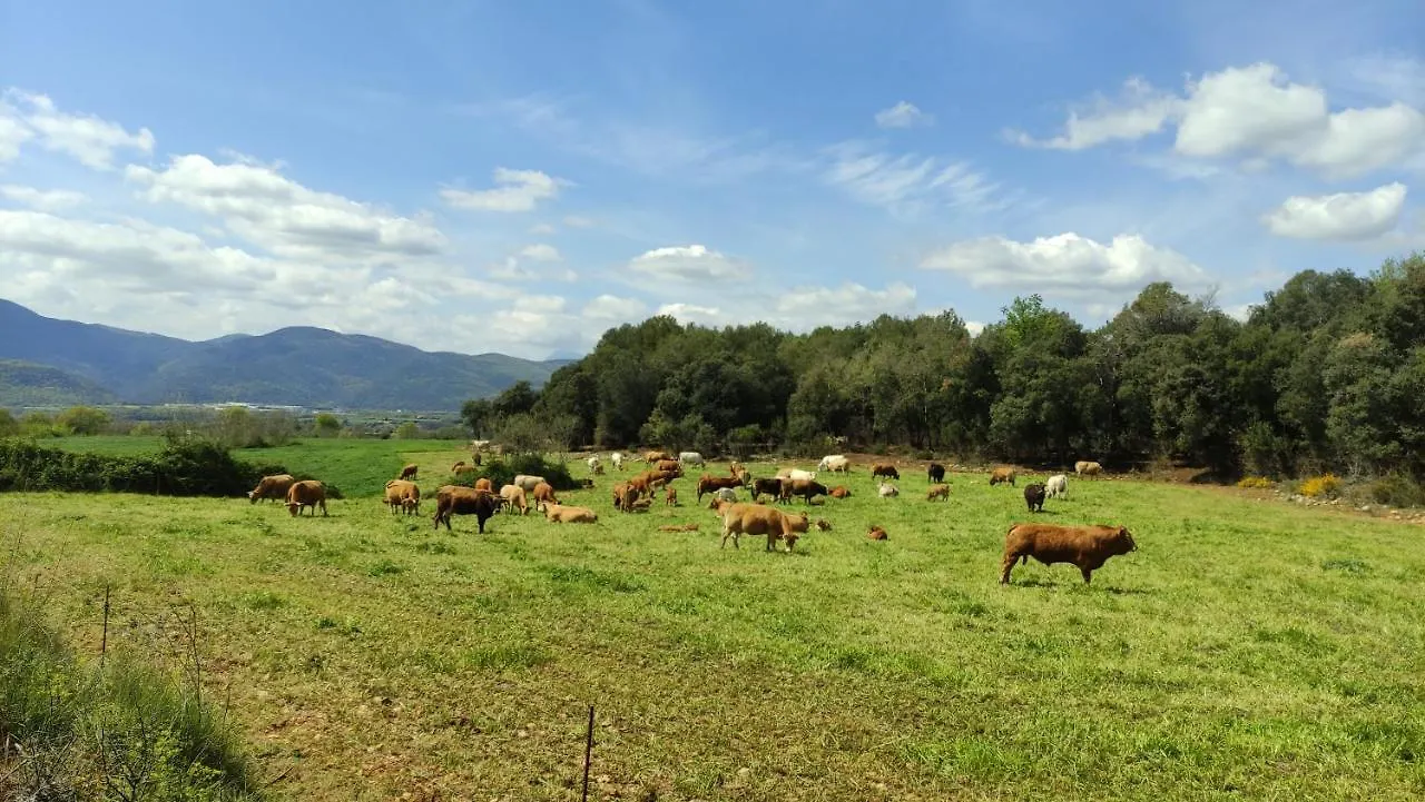 Country house Mas Ca La Coixa Guest House Tortella